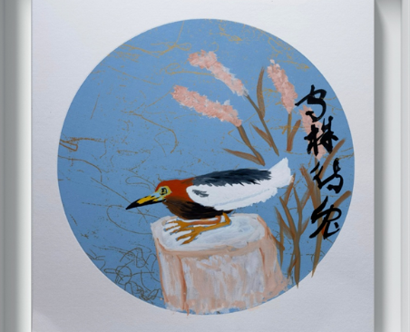 红树林常见鸟系列之四十五:“瞪一眼就可怀孕”——池鹭 红树林常见鸟系列之四十五:“瞪一眼就可怀孕”——池鹭