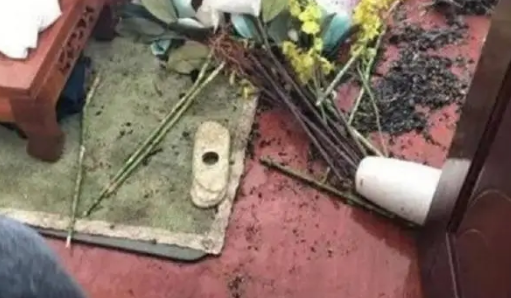 宠主昨天忘记带哈士奇去遛弯,结果二哈的举动让宠主气的想吃狗肉 宠主昨天忘记带哈士奇去遛弯,结果二哈的举动让宠主气的想吃狗肉