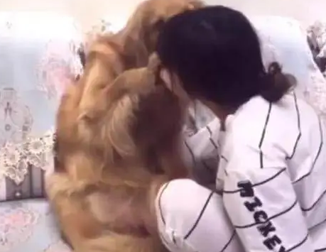 主人亲吻狗狗，狗狗返过来亲主人，网友：这狗成精了吧 