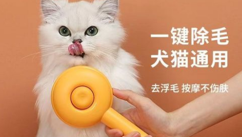 艾窝宠物用品在哪里买