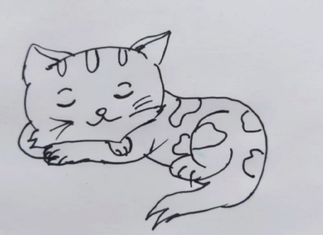 趴着的猫咪怎么画