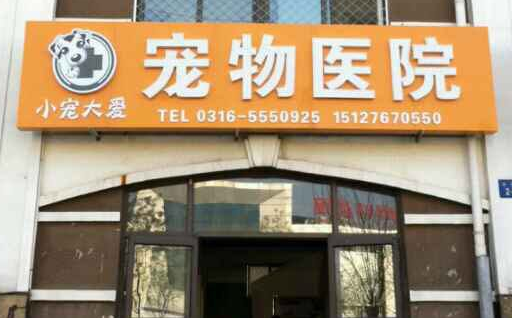 小宠大爱宠物医院好吗
