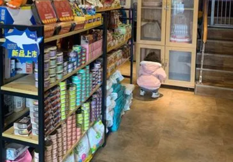 蜗牛小店宠物收银系统要钱吗