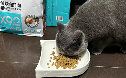 永驰猫粮