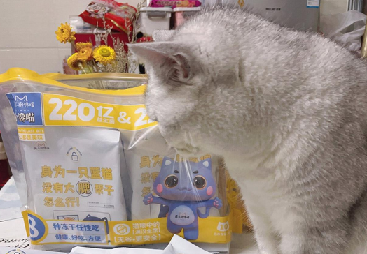 威尔逊馋嘴猫粮,让挑食喵秒变馋嘴喵! 威尔逊馋嘴猫粮,让挑食喵秒变馋嘴喵!