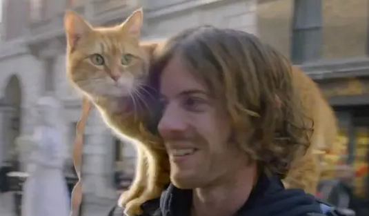 有人说养猫养狗的人，都是有钱人，但是我不同意这个观点！