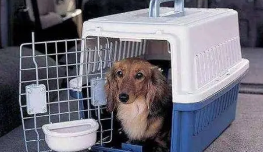 狗能上火车吗 狗能上火车吗