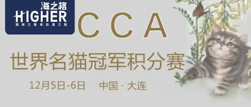 特别报道｜冬日热情 海之格赞助CCA世界名猫冠军积分赛 