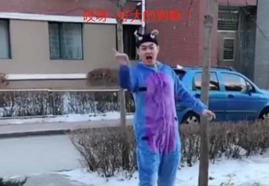 狗主人害怕遇到的一类人,离着八丈远开始喊!网友:引起强烈共鸣