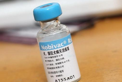 狂犬疫苗多少钱一针?