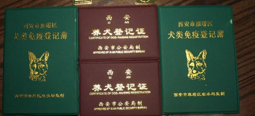 没有狗证报警会处理吗