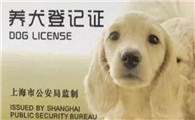 没狗证怎么证明是自己的狗