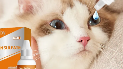 人用的眼药水能给猫用吗