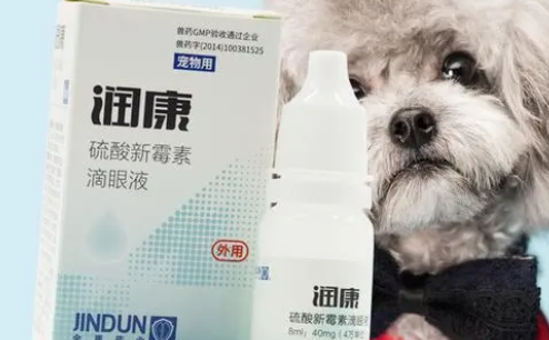 润康宠物眼药水怎么样