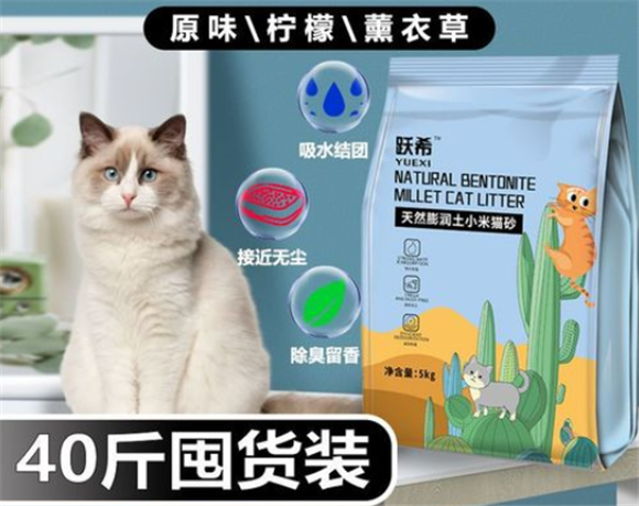 跃希猫砂怎么选？看好这几点！