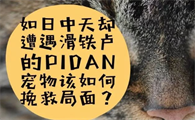 如日中天却遭遇滑铁卢的PIDAN宠物该如何挽救局面?