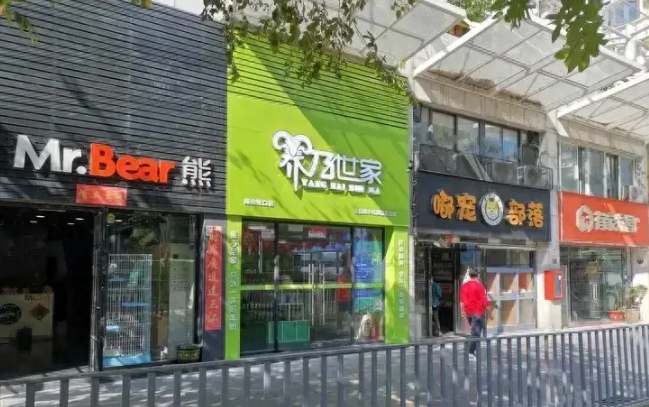 宠物医院遍布大街小巷,宠物经济堪比银发经济,都是朝阳产业? 宠物医院遍布大街小巷,宠物经济堪比银发经济,都是朝阳产业?