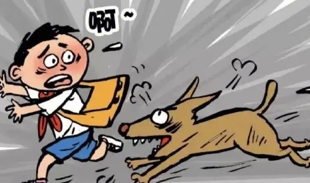 狂犬病的几率有多大