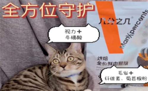 几分之几猫粮