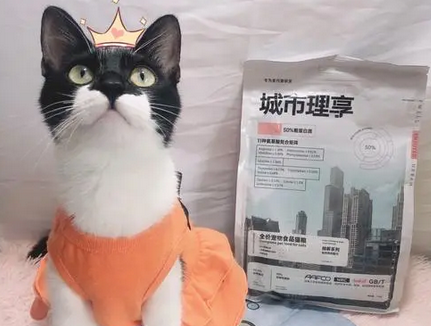 城市理享猫粮什么档次？城市理享猫粮怎么样