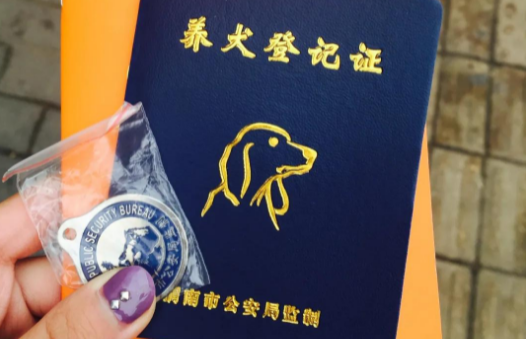 没有办狗证的狗主人要罚多少