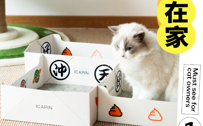 过年猫咪怎么办!养猫人必看的4种方式 过年猫咪怎么办!养猫人必看的4种方式