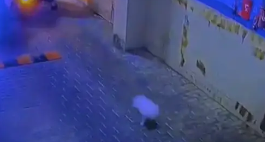 因主人撞车狗狗立马下车逃跑,历经9小时寻找,终在井底发现了它! 因主人撞车狗狗立马下车逃跑,历经9小时寻找,终在井底发现了它!