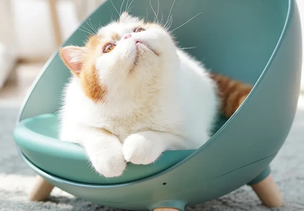 麻薯猫窝能买吗