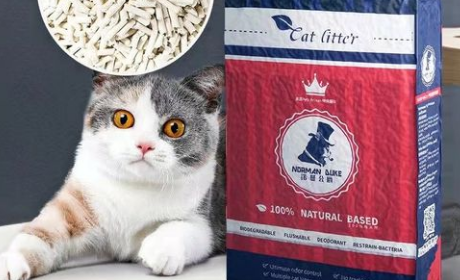 诺曼公爵猫砂代理 诺曼公爵猫砂代理