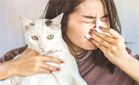 人对猫过敏的症状图片