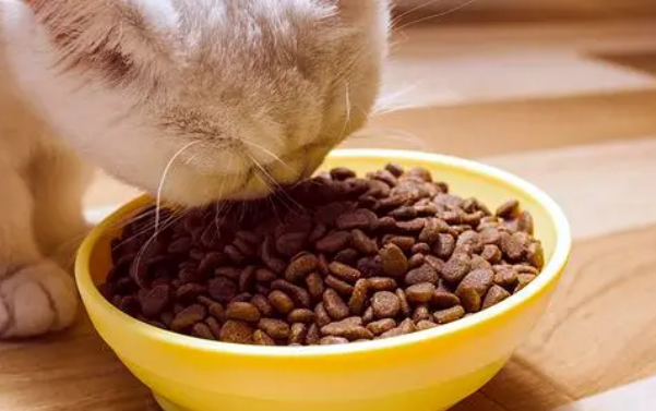 博刻猫粮价格 博刻猫粮价格