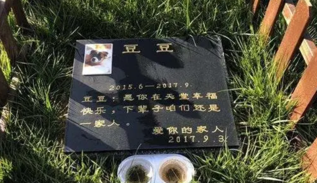 深圳宠物殡葬服务公司及宠物殡葬服务流程 深圳宠物殡葬服务公司及宠物殡葬服务流程