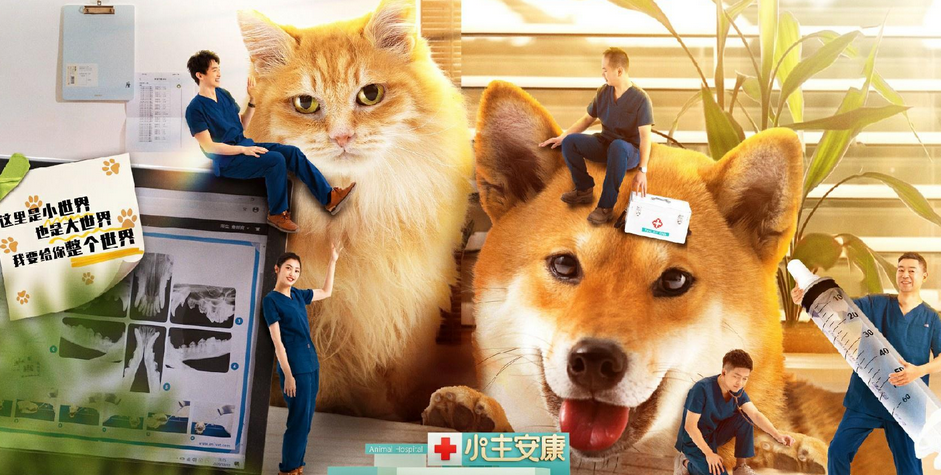 宠物医院的人间世