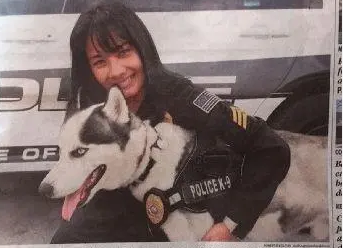 这只二哈走上了人生的巅峰,摇身一变成为了一只警犬 这只二哈走上了人生的巅峰,摇身一变成为了一只警犬