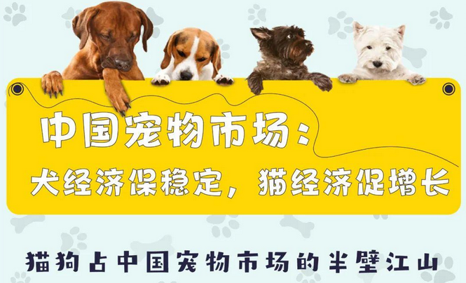 美容、保健、殡葬……宠物服务业为啥让养宠人群欲罢不能? 美容、保健、殡葬……宠物服务业为啥让养宠人群欲罢不能?