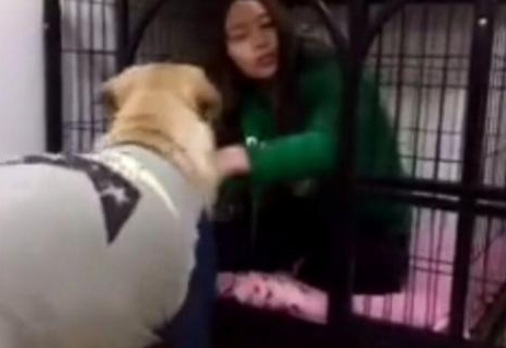 女主人为教育狗狗，竟然想出如此“狠招”，网友：还有这操作