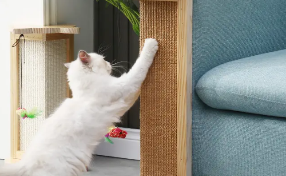 猫抓板的作用