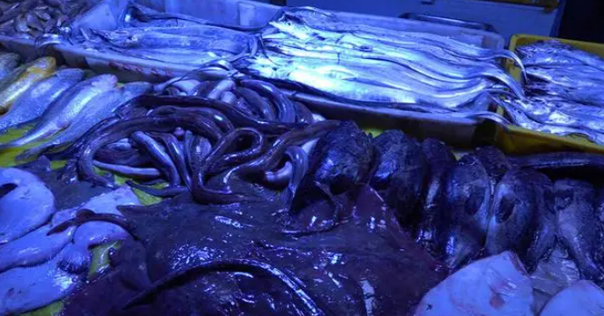 虾美蟹肥鱼鲜!青岛李村大集“海味儿”十足 虾美蟹肥鱼鲜!青岛李村大集“海味儿”十足