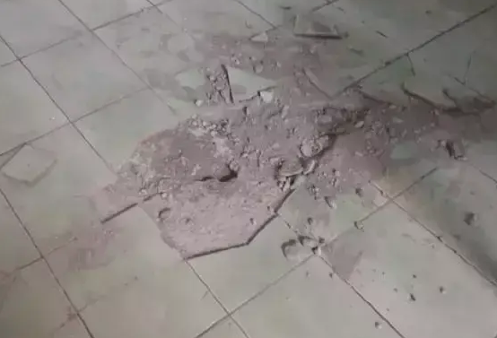 柴犬把家里的地砖都刨开了,柴柴:主人,我是在帮你装修 柴犬把家里的地砖都刨开了,柴柴:主人,我是在帮你装修