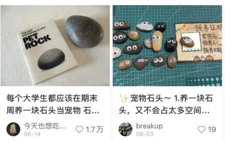 最近很火的“新型宠物”!有些年轻人竟然在养石头 最近很火的“新型宠物”!有些年轻人竟然在养石头