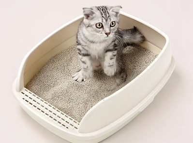喵星仔猫砂盆使用视频 喵星仔猫砂盆使用视频