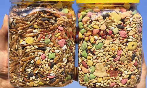 小楠瓜仓鼠粮增肥吗 小楠瓜仓鼠粮增肥吗