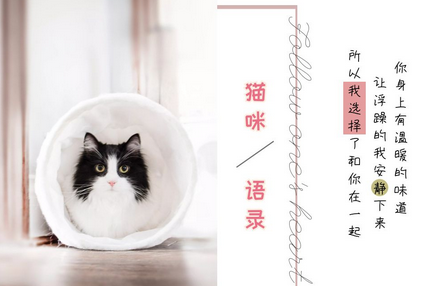 【畅享优品】毛不好吃这个就能变美喵子？解析这些颗粒究竟什么成分！ 