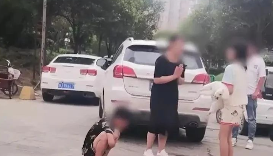 河南一宠物狗冲出被压死，俩孩子大哭质问不看路，女司机一脸歉意