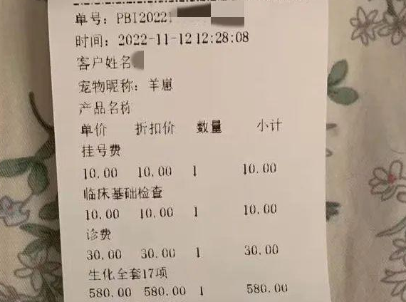 宠物猫“治”死了?“新瑞鹏”“瑞派”宠物医院被质疑治疗不当…… 宠物猫“治”死了?“新瑞鹏”“瑞派”宠物医院被质疑治疗不当……