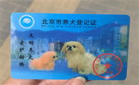 狗证为什么每年都要交钱