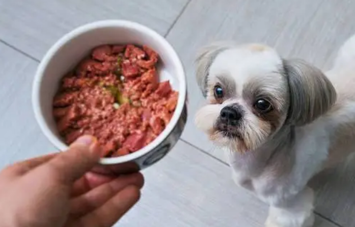 狗能吃盐吗 狗能吃盐吗