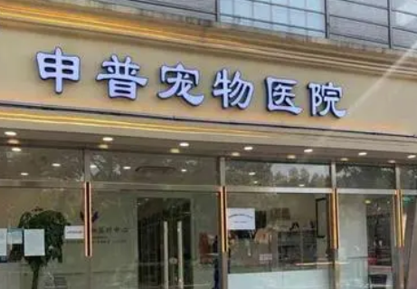 申普宠物医院总院电话
