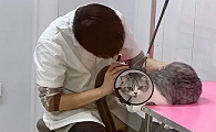 唯它宠物医院联系电话
