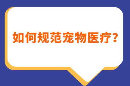 如何规范宠物医疗 如何规范宠物医疗